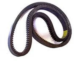 Alternator Belt