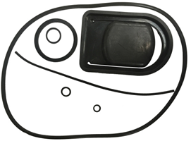 Pump Repair Kit - Buna