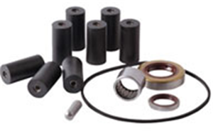 Repair Kit - 8900 Series Pump