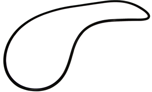 Poly Pump Body O-Ring