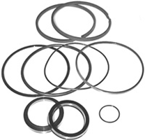 Seal Kit - 4.5 in. x 1-1/2 in. Rod SN8799-1