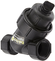 Banjo LS125-20 Polypropylene Y Strainer - 20 Mesh, 1-1/4 in. FNPT