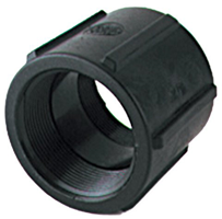 Poly Coupling - 1/4 in. FNPT x FNPT