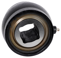 Bearing Assembly with Housing