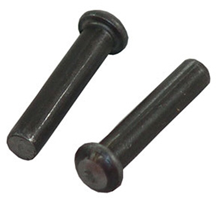 Oval Head Section Rivets - 5-1/2 in. x 1 in.