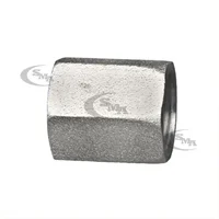 1/4 in. Female NPT Cap