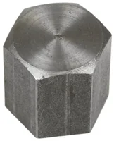 Cap - 1/4 in. x 1/4 in. FNPT