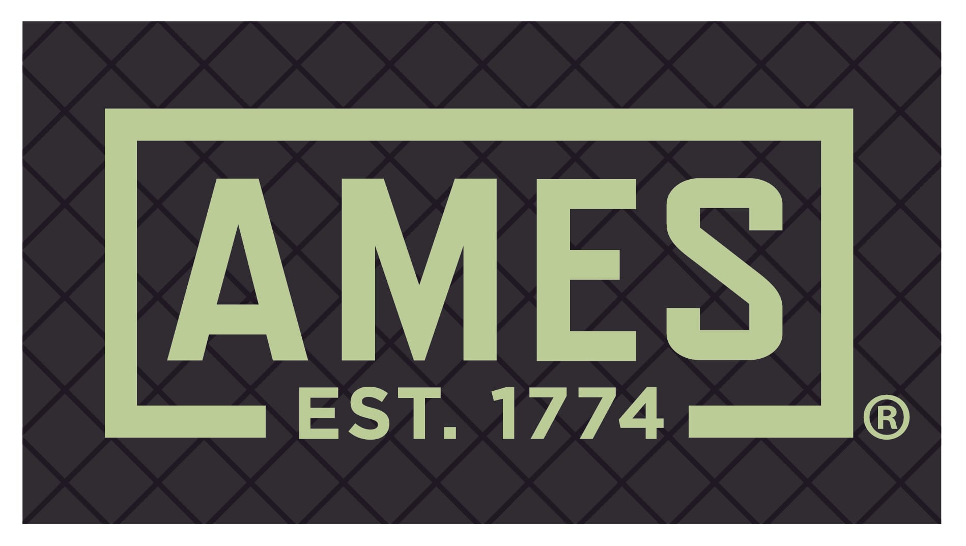 AMES