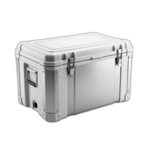 Icebin
